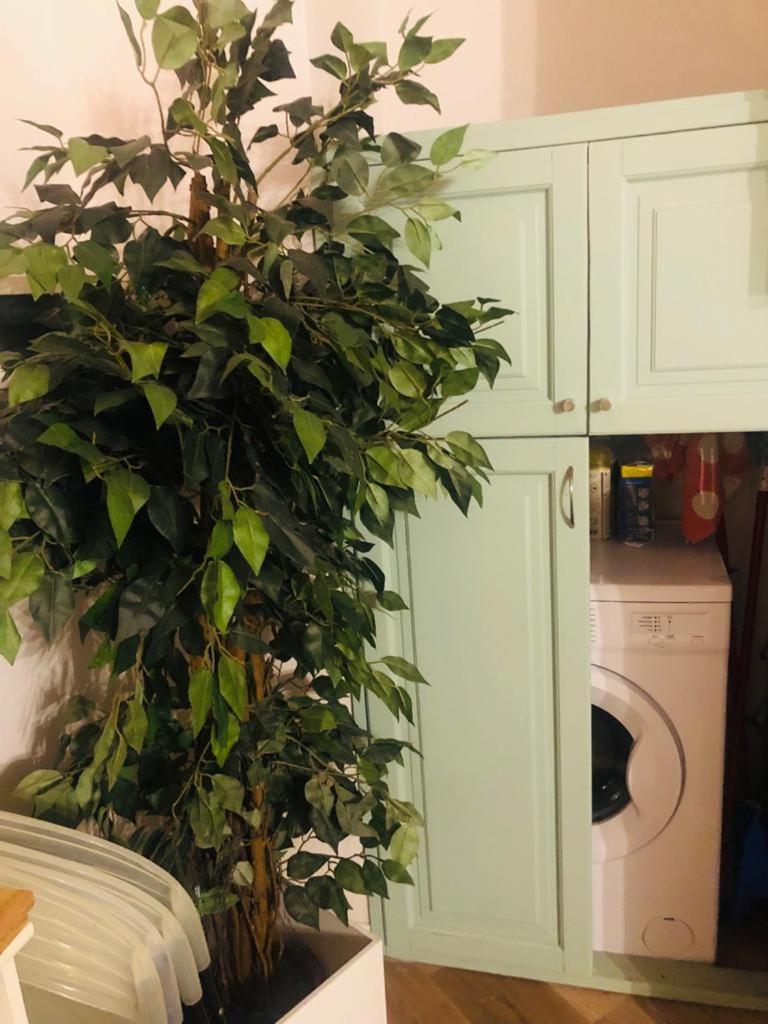 Charme Holidays Trastevere Рим Экстерьер фото